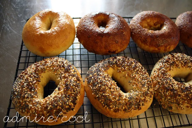 everything, plain, and cinnamon sugar bagels