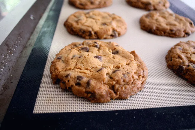 chocolate chip cookies
