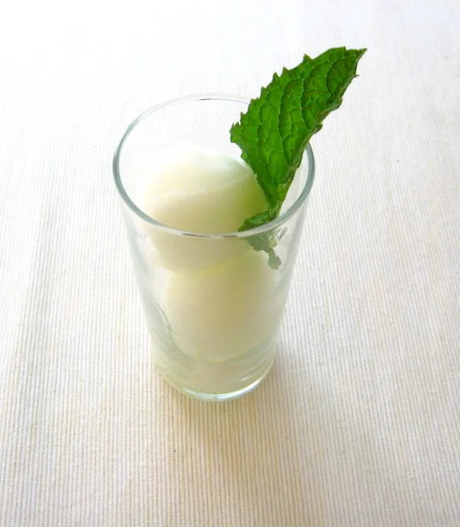 two scoops of limoncello mint sorbet