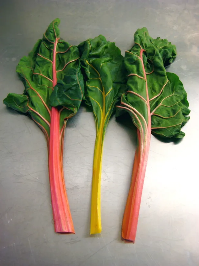 rainbow chard